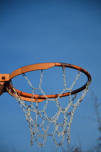 开云体育视频直播-NBA球队球员培养规划设计，nba对球员的要求是什么