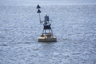 开云下载-中方蝶泳入水角度更锐利？图解数据分析，中国蝶泳厉害吗