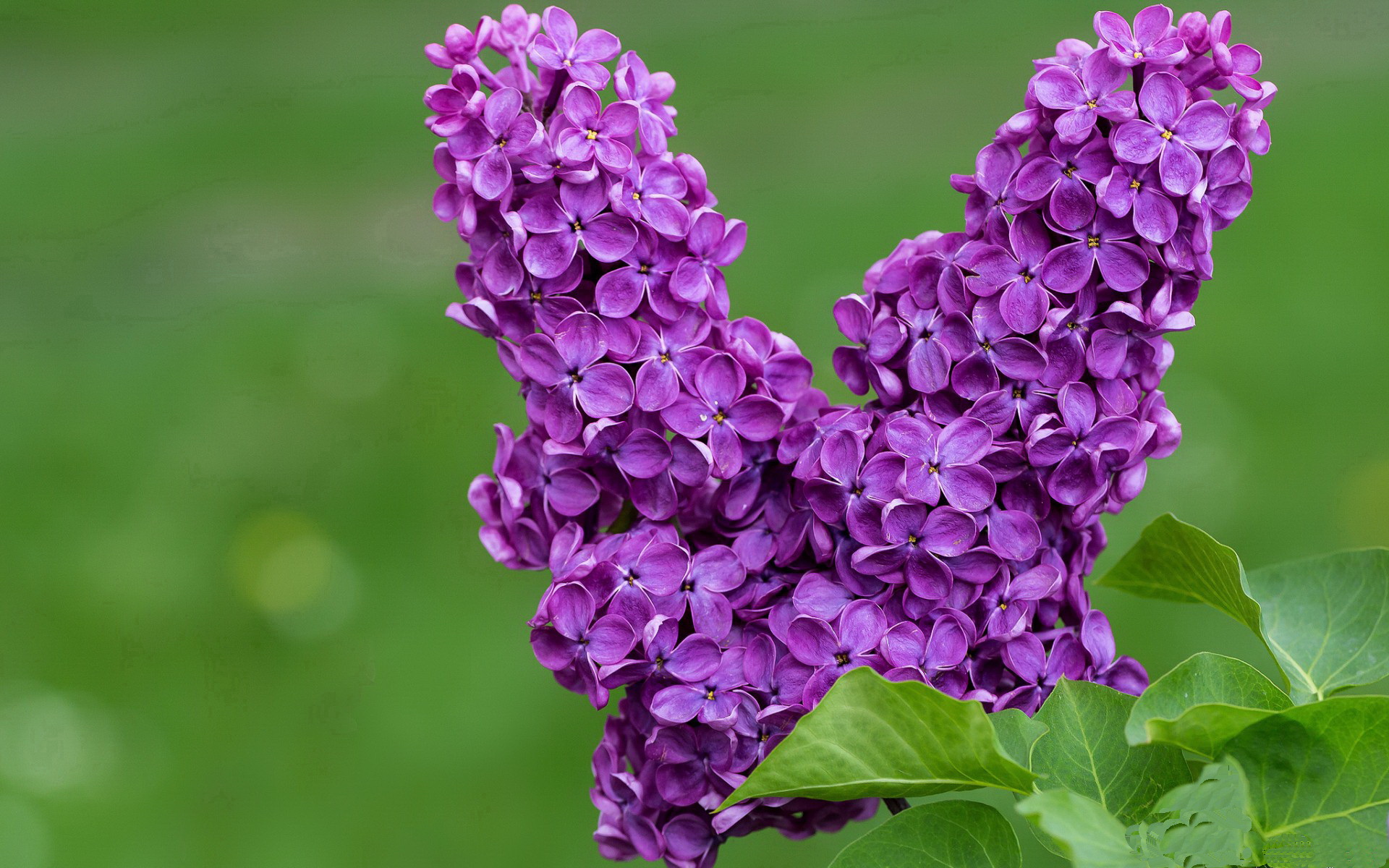 Kaiyun官方登录入口-出发弹跳力与速度提升关系，发展弹跳力可以采用的训练方法是