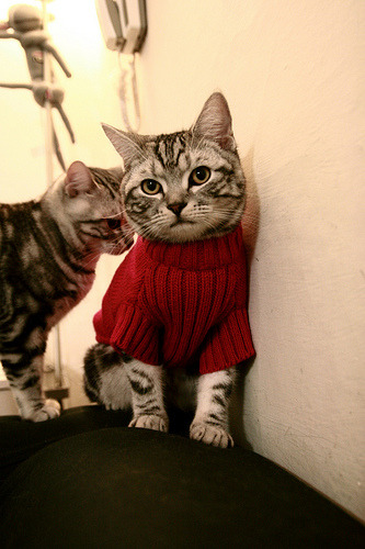 Kaiyun官方登录入口-阿尔及尔国内联赛水平显著提升国家队后备力量，阿尔及尔规划