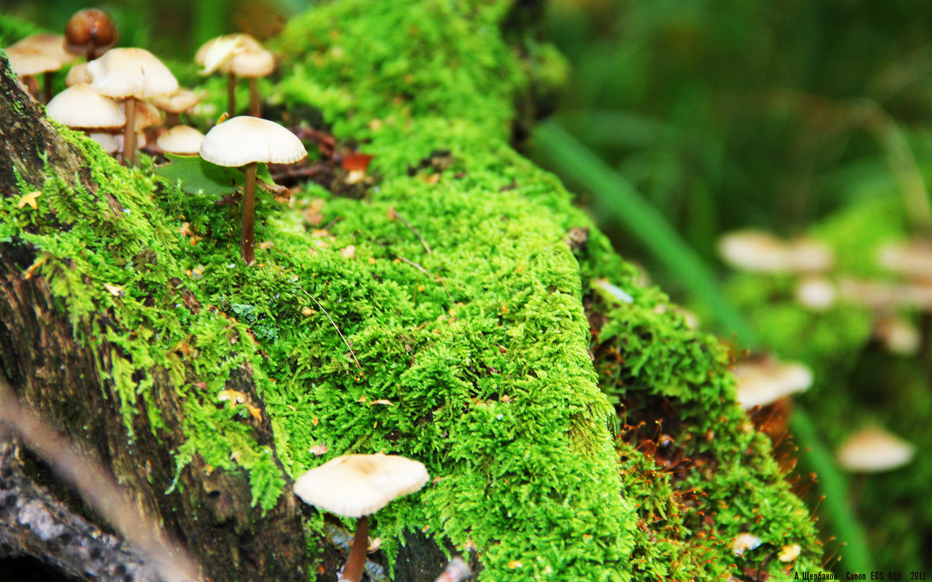 开云下载-中国足球青训重视球员在逆境中应对能力训练，中国足球青训理念