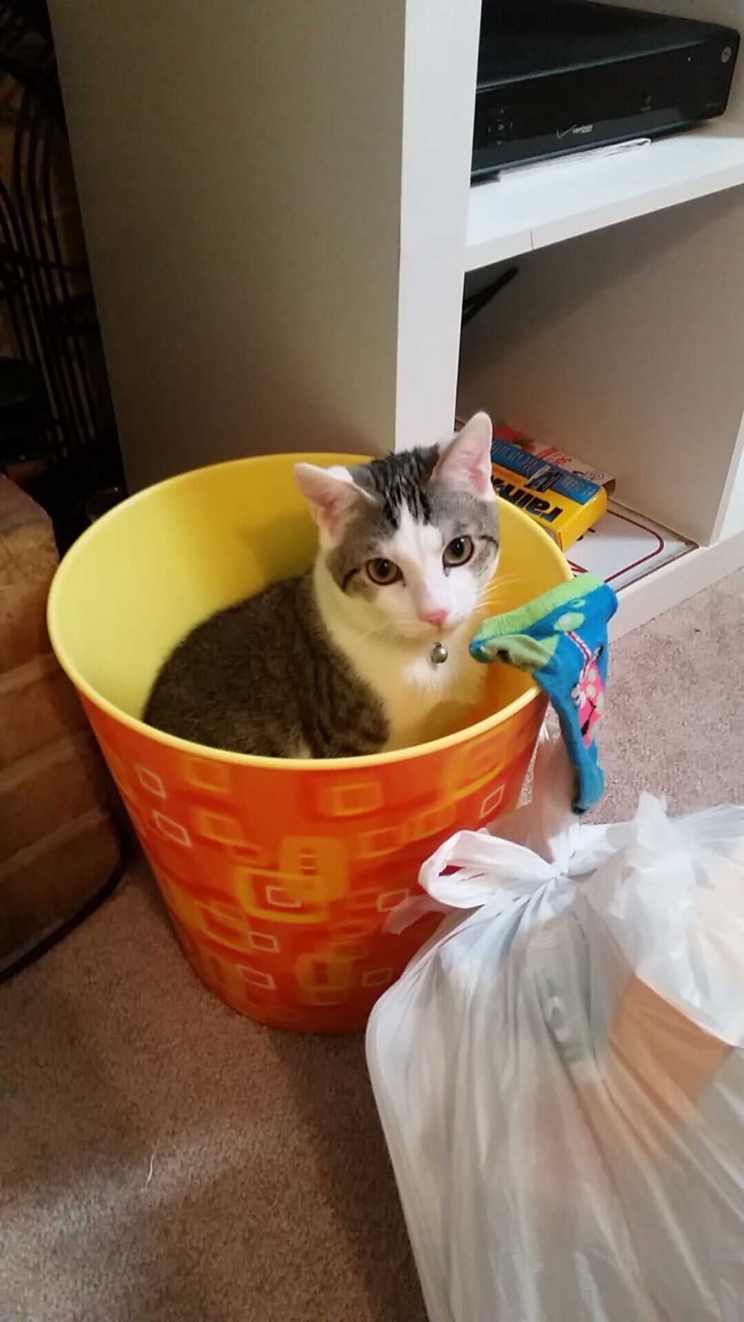 开云平台-意甲战术大变革：布局巧妙，震撼全场！，意甲战报意甲积分榜