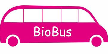 Kaiyun官方登录入口-意甲联赛的绿色可持续发展，意甲联赛啥意思