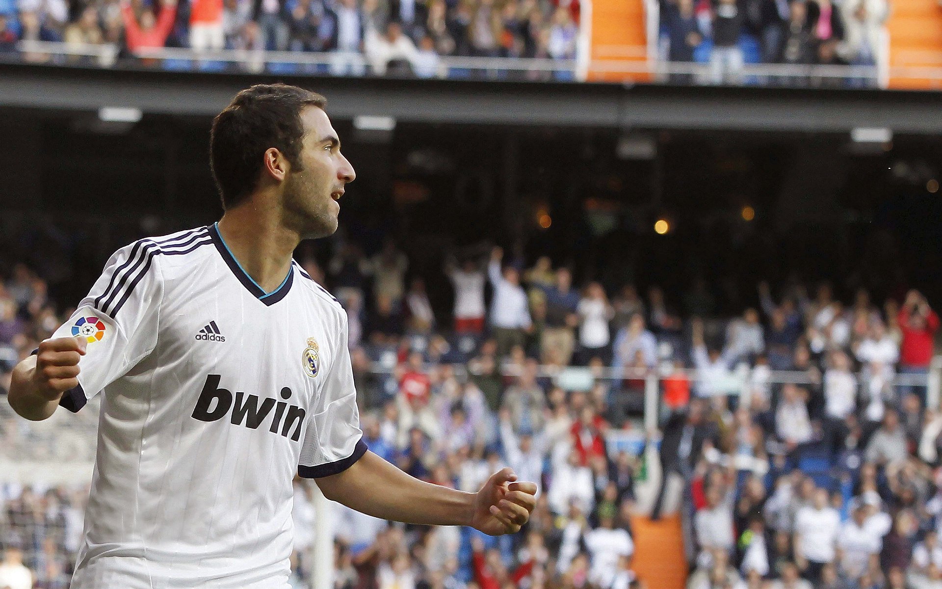 _水上飞行秀：速度与优雅的运动展演_，水上飞项目