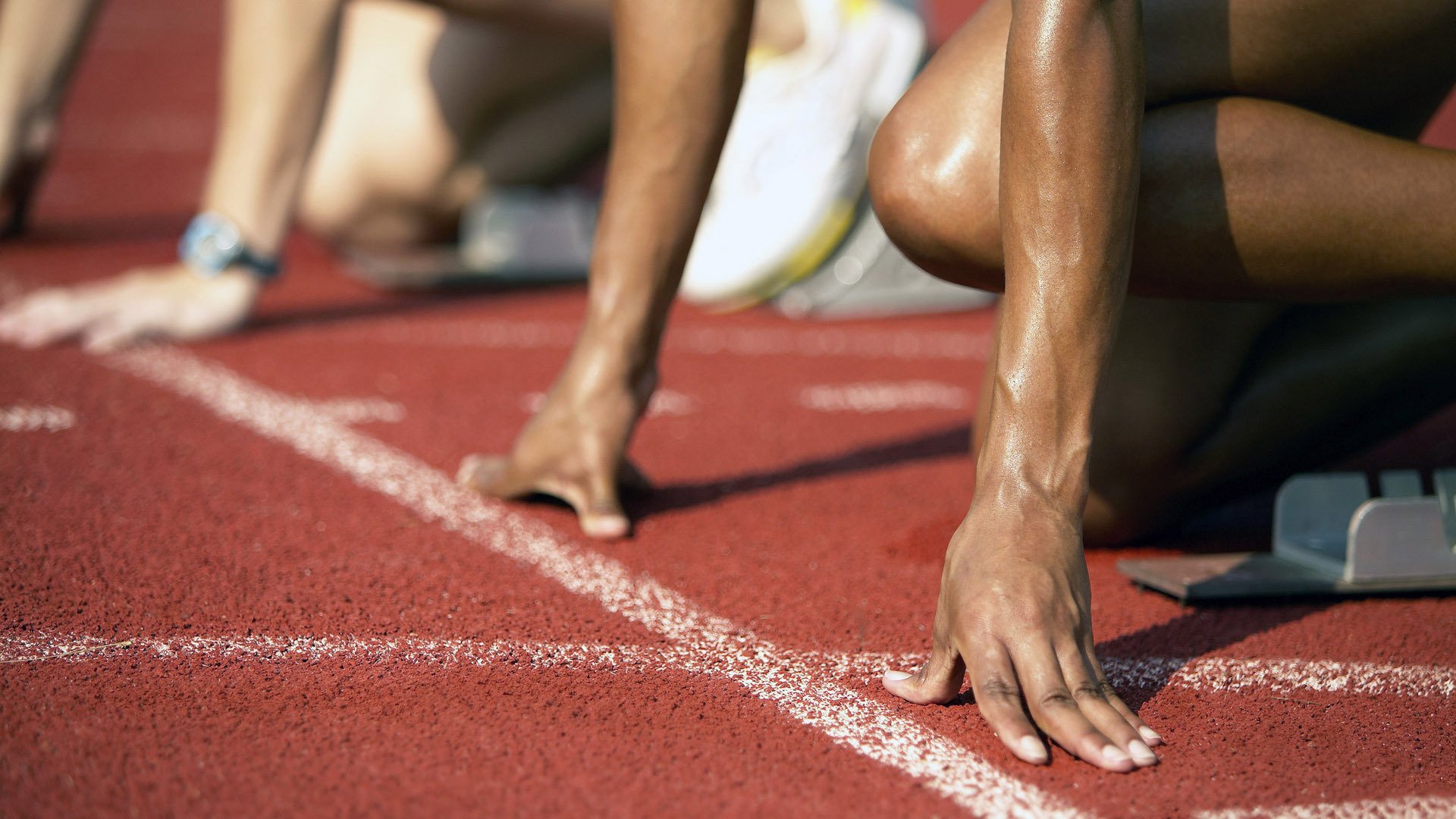 西班牙马术界推出智能马鞍系统,实现实时数据监测与分析,提升骑乘体验。