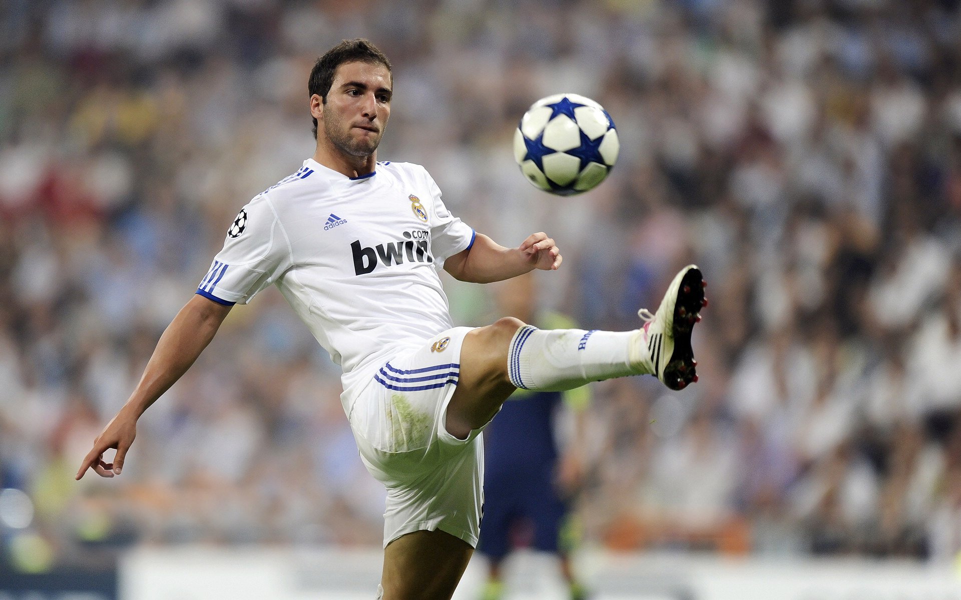 逆境中的领袖：队长们的激励话语，队长语录